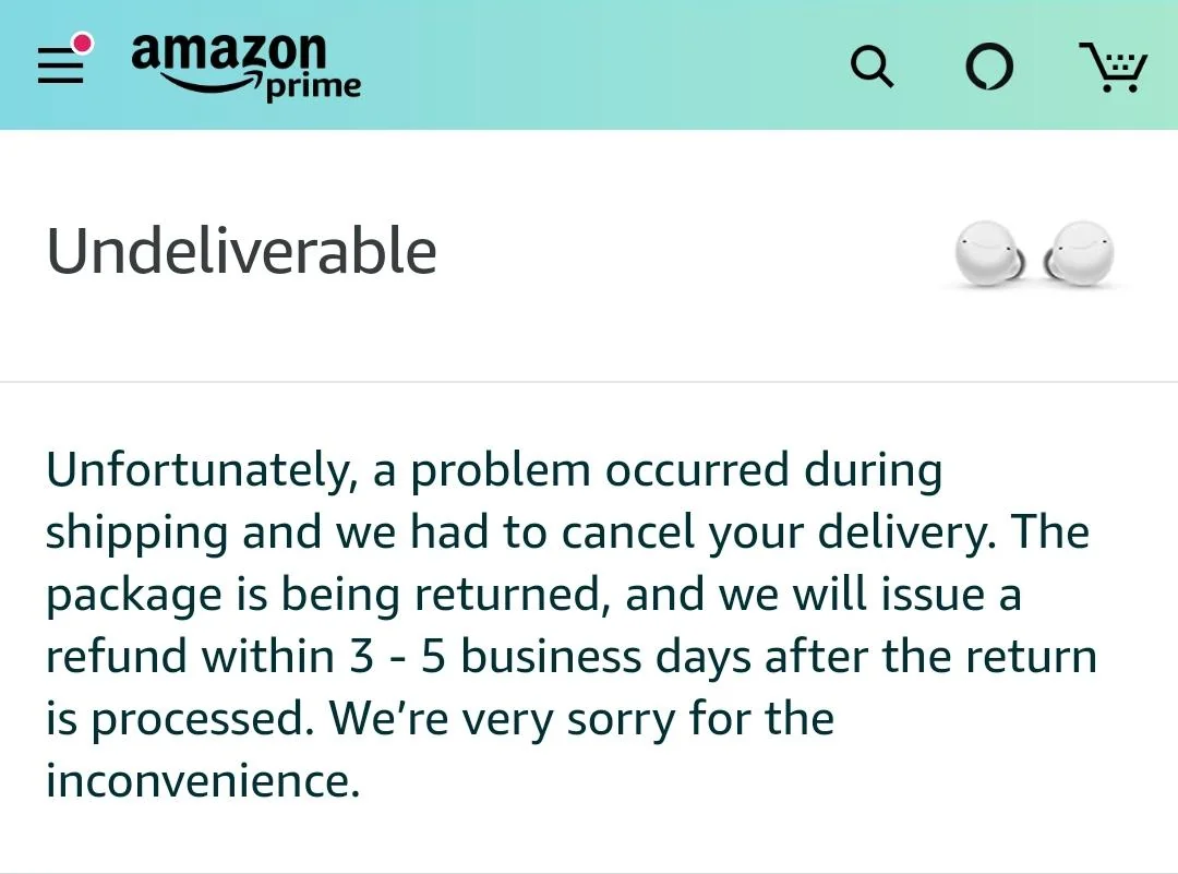 Amazon Displays the Undeliverable Order Status